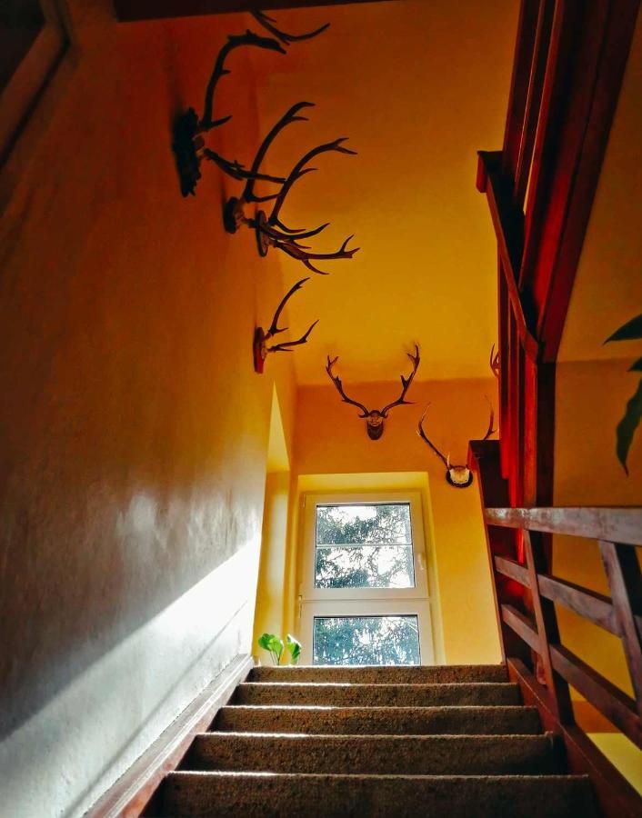 Dame Vam Pokoj - 4 Pokoje Se Sdilenou Kuchyni, Kapacita Max 9 Osob Harrachov Exterior photo
