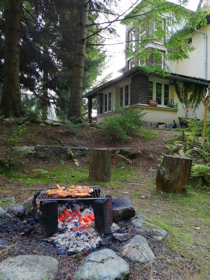 Dame Vam Pokoj - 4 Pokoje Se Sdilenou Kuchyni, Kapacita Max 9 Osob Harrachov Exterior photo