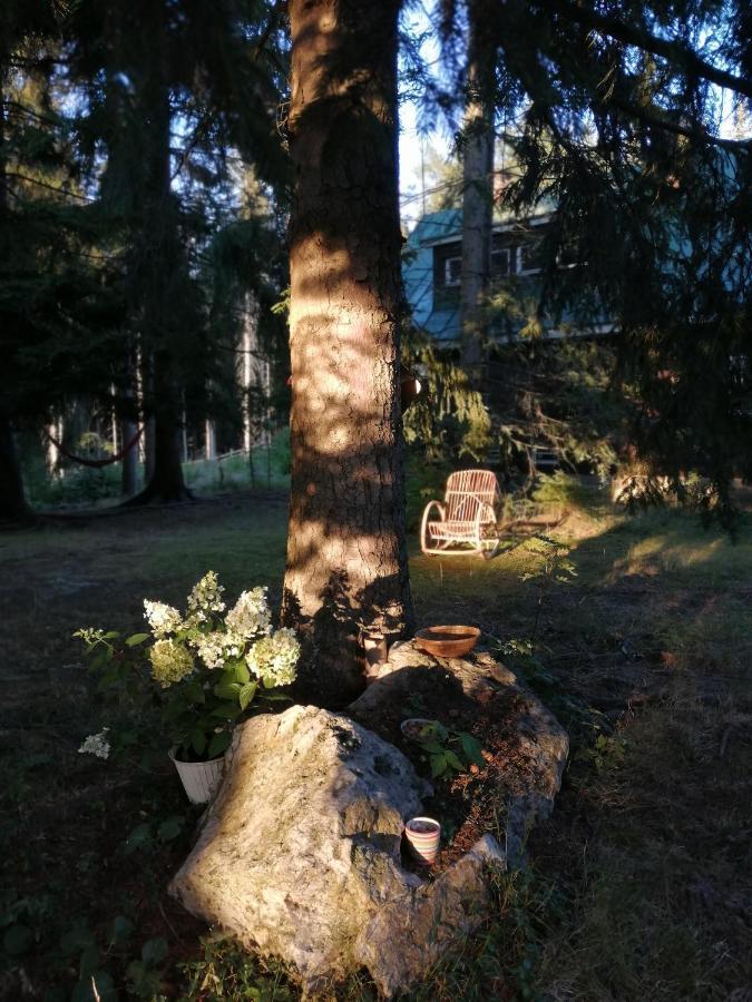 Dame Vam Pokoj - 4 Pokoje Se Sdilenou Kuchyni, Kapacita Max 9 Osob Harrachov Exterior photo